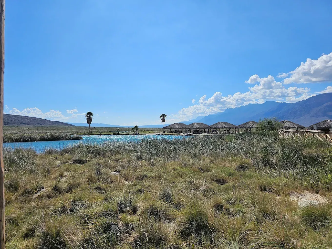 Hay un lago en medio de un campo de hierba con montañas al fondo.