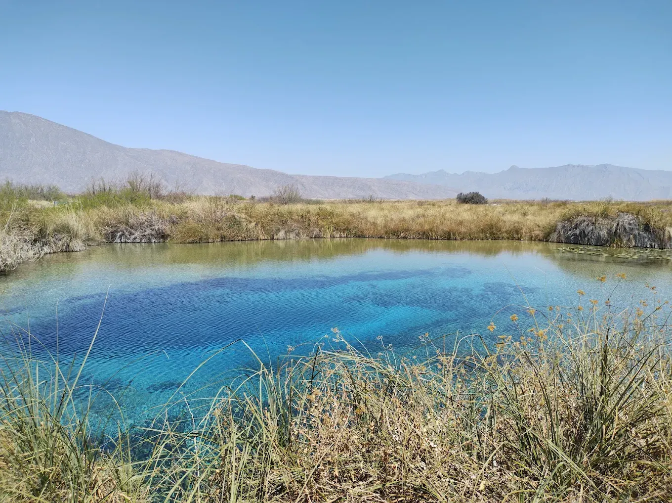 Un pequeño estanque en medio de un campo con montañas al fondo.