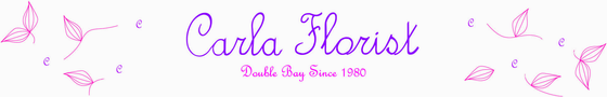 Carla Florist - logo