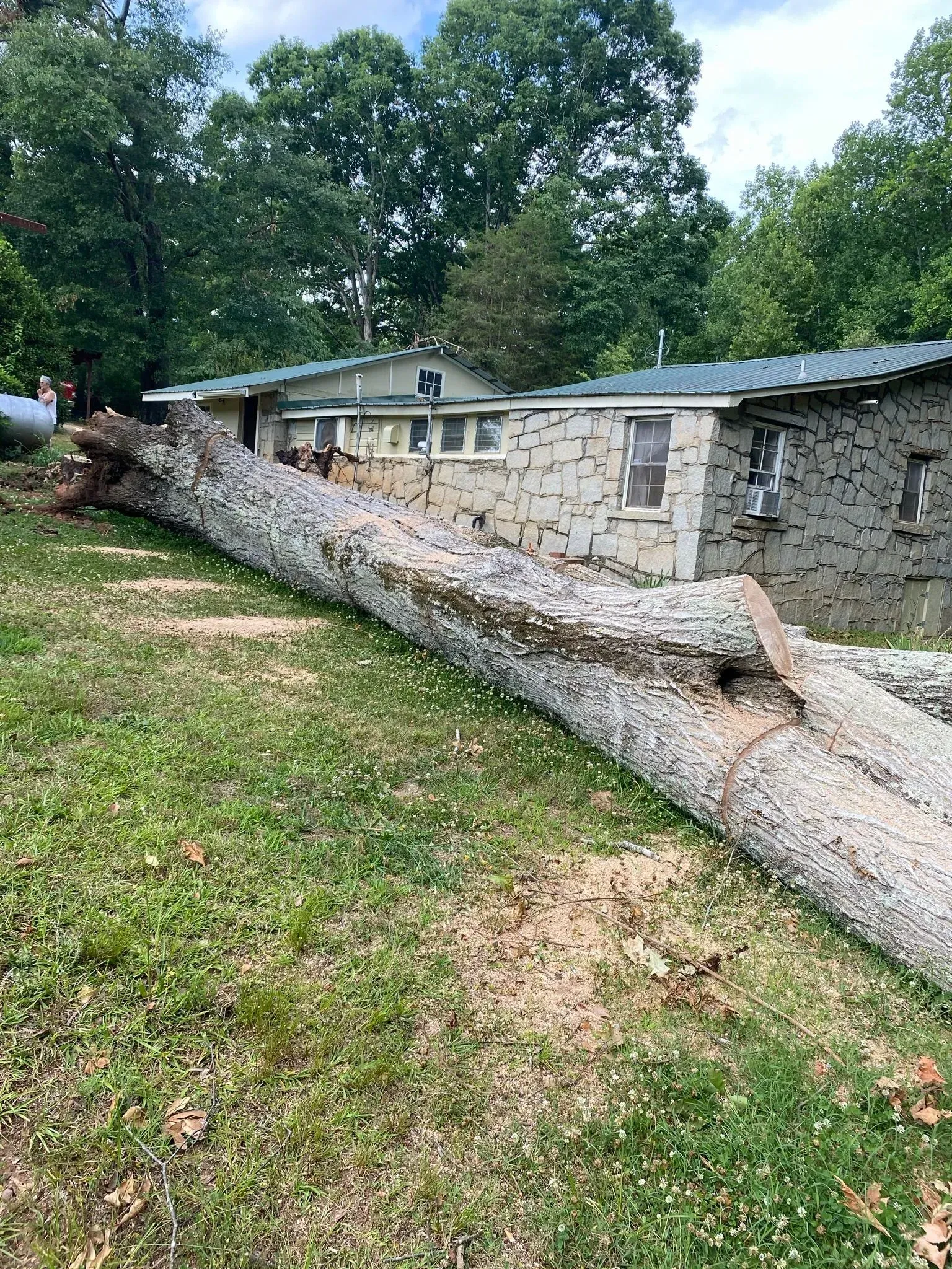 A large log is laying in the grass in front of a house.
