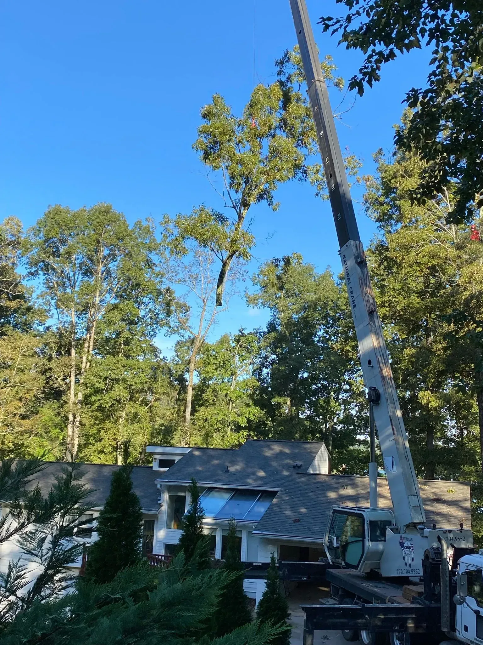 A crane is lifting a tree in front of a house.