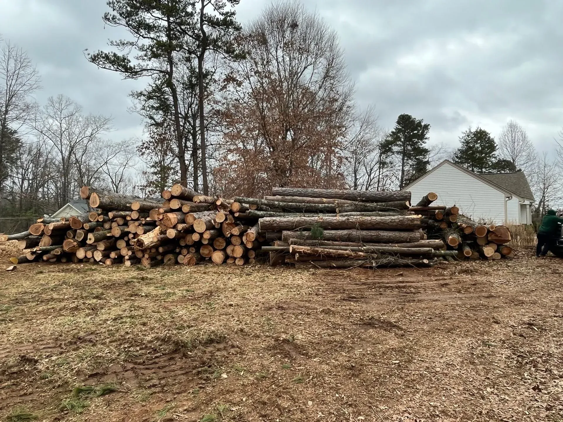 A pile of logs in a field with a house in the background.