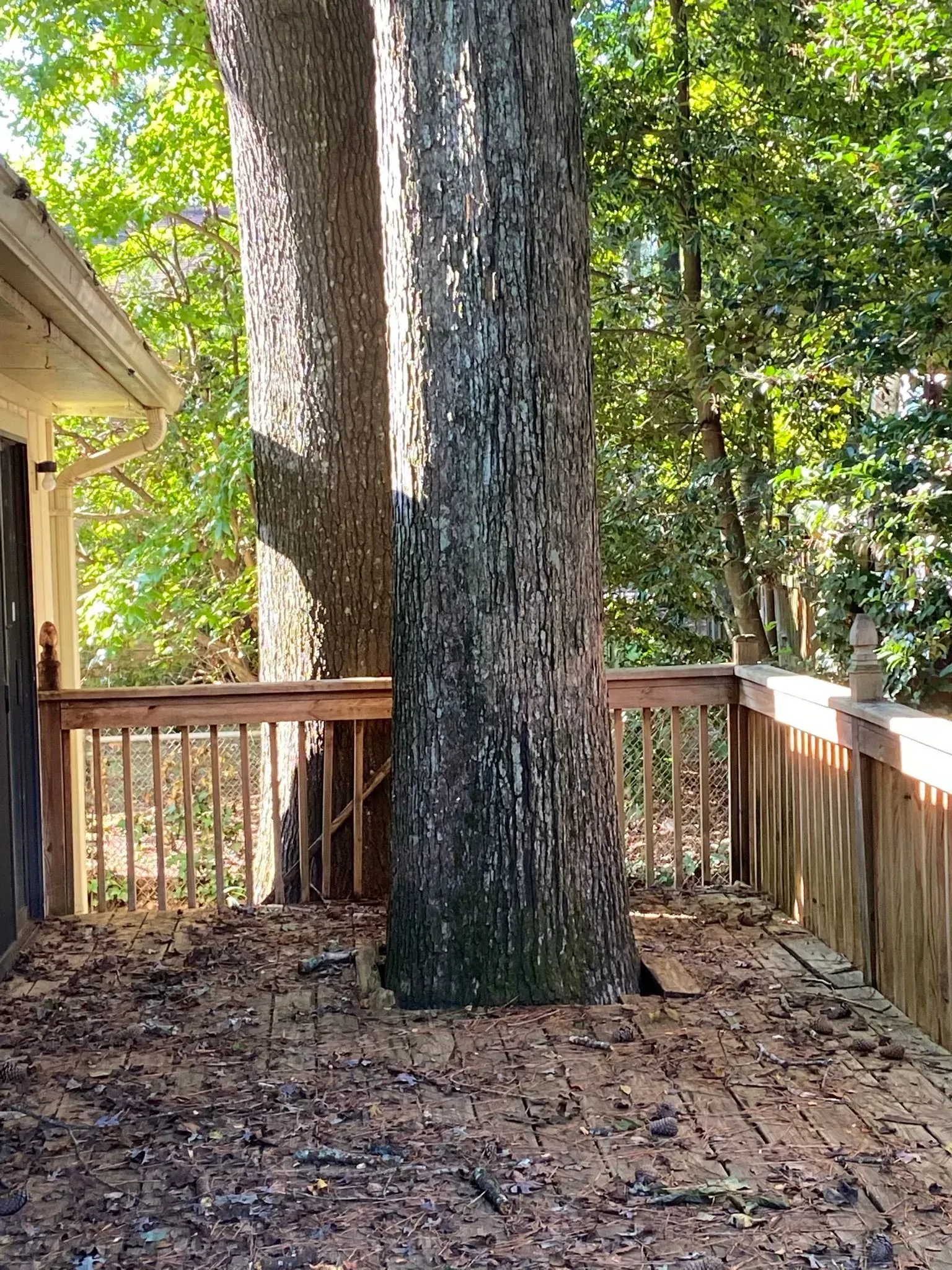 A large tree trunk is sitting next to a wooden deck.