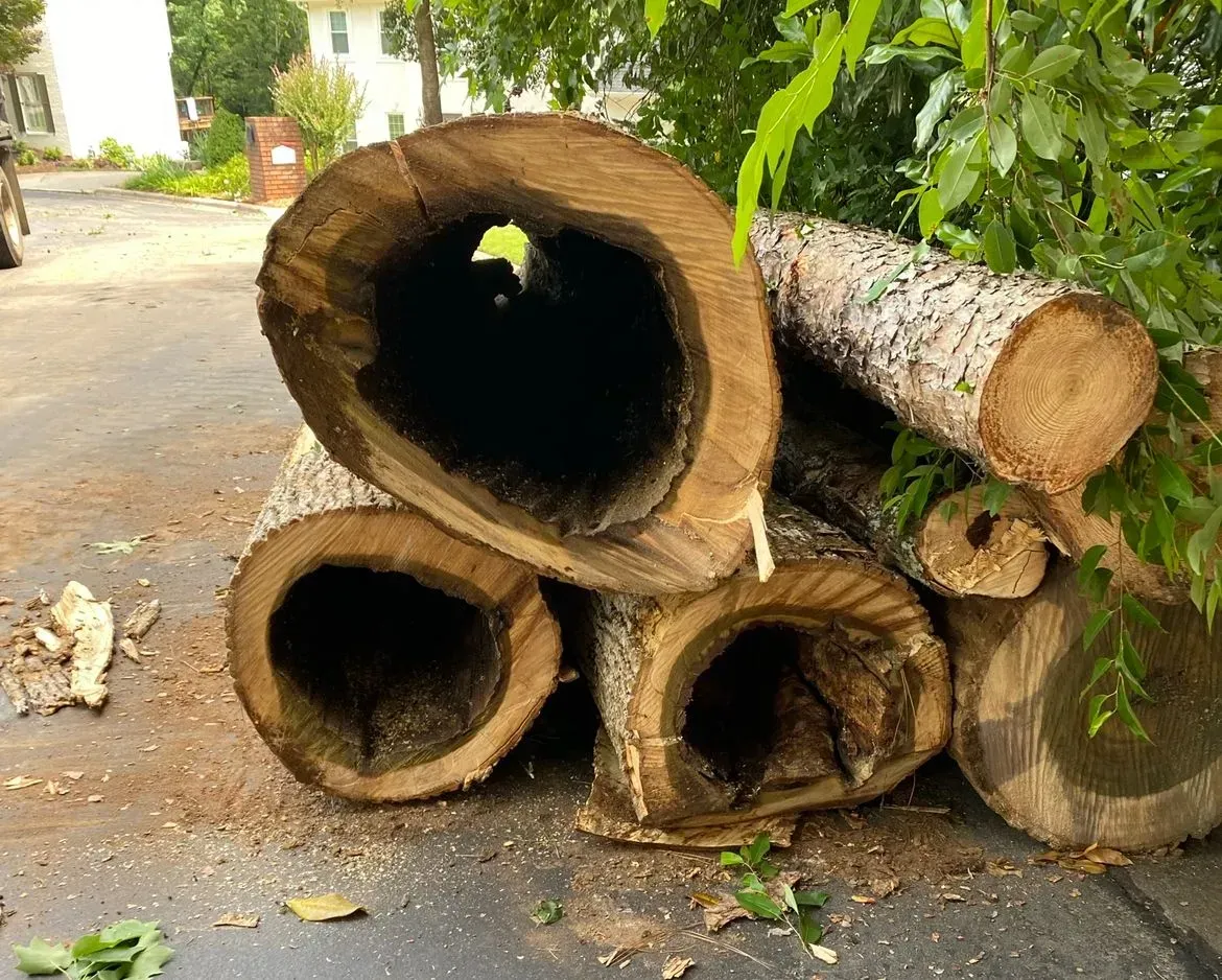 A pile of logs stacked on top of each other on the ground.
