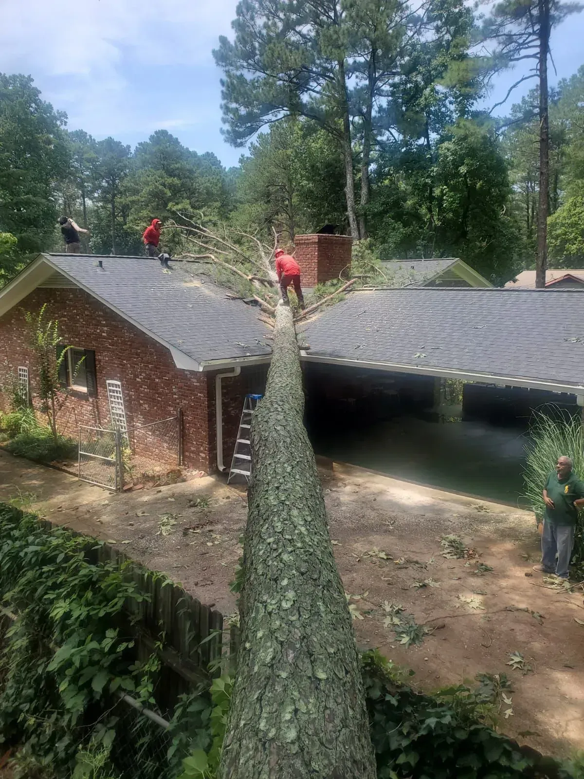 A large tree is hanging over the roof of a house.