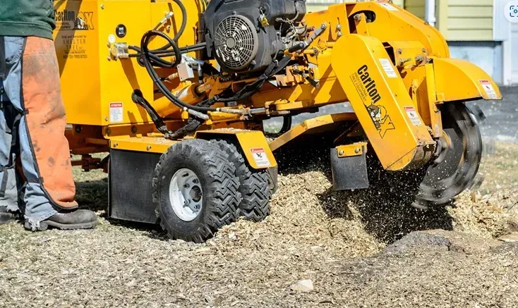 A man is using a stump grinder to remove a tree stump.