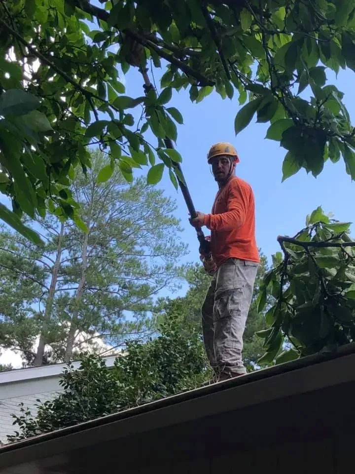 A man is standing on the roof of a house cutting a tree.