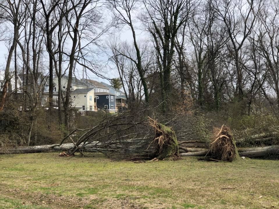 A pile of fallen trees in a field with a house in the background.