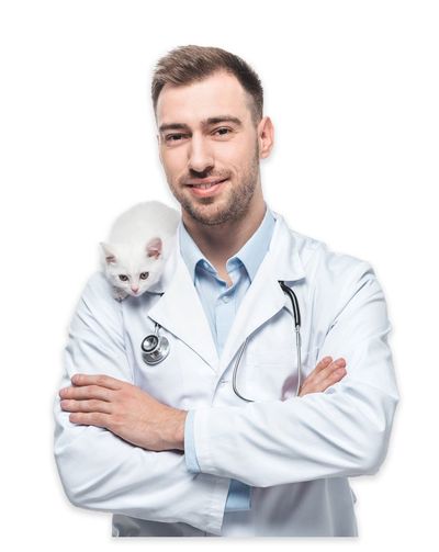 Appointment — Smiling Male Veterinarian With Kitten in South Gate, CA