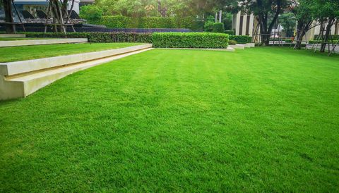 See This Report on Lawn Care Services