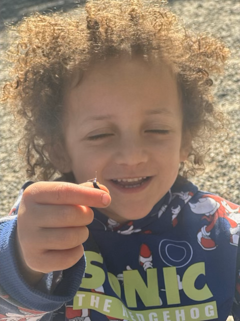 A young boy wearing a sonic the hedgehog shirt holds something in his hand