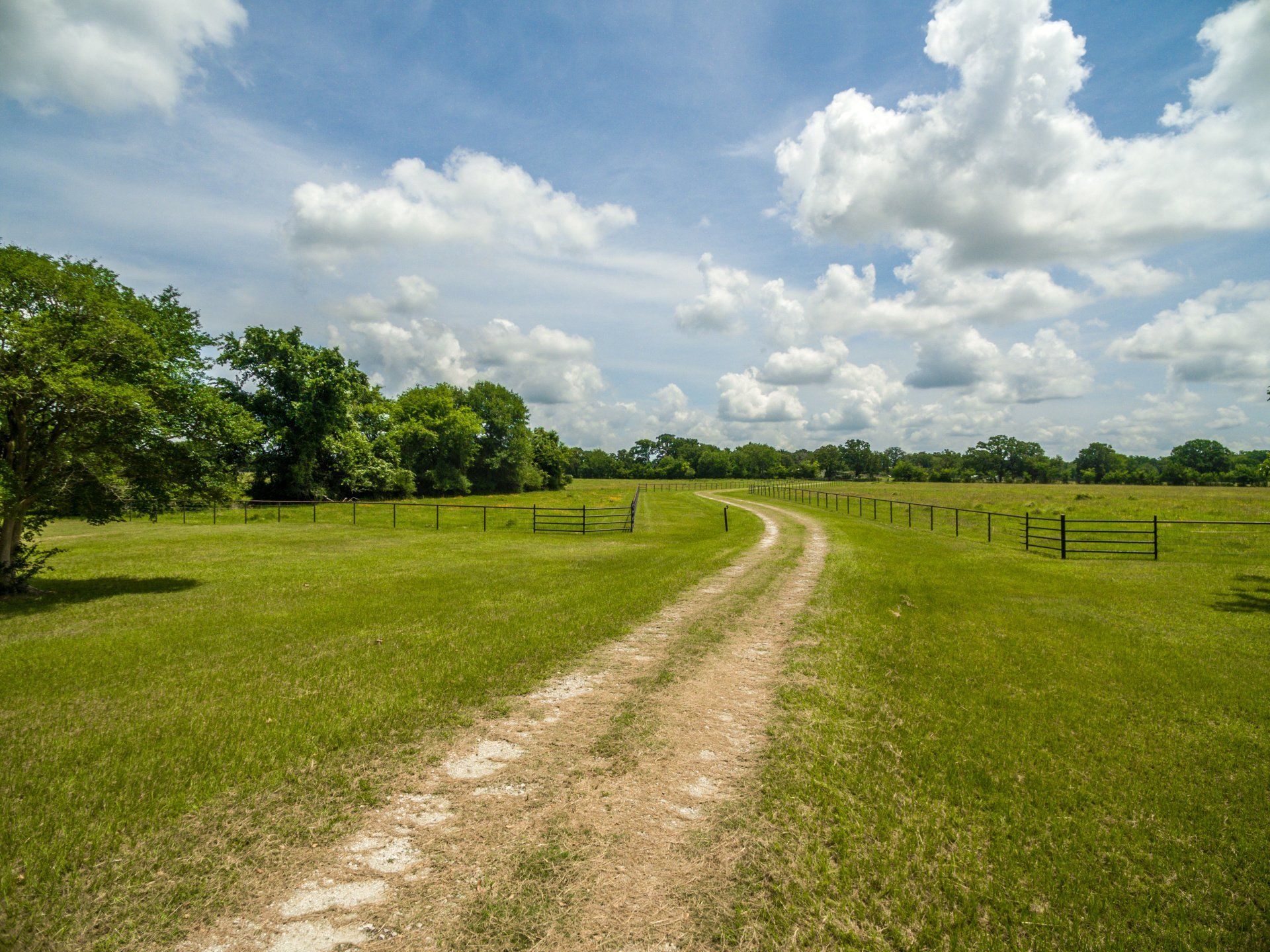 A dirt road going through a grassy field on a sunny day.