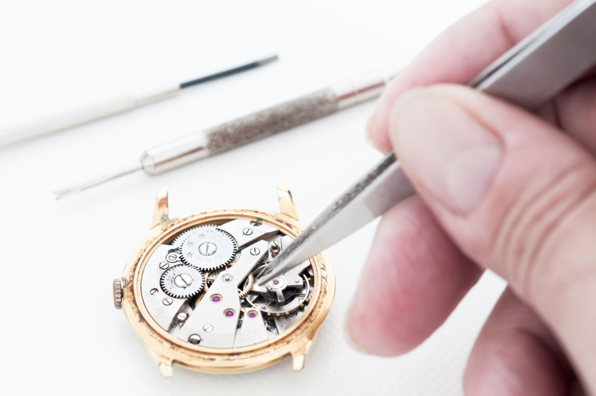 A Person is Fixing a Watch With Tweezers — Coastal Clocks & Watches in Buddina, QLD