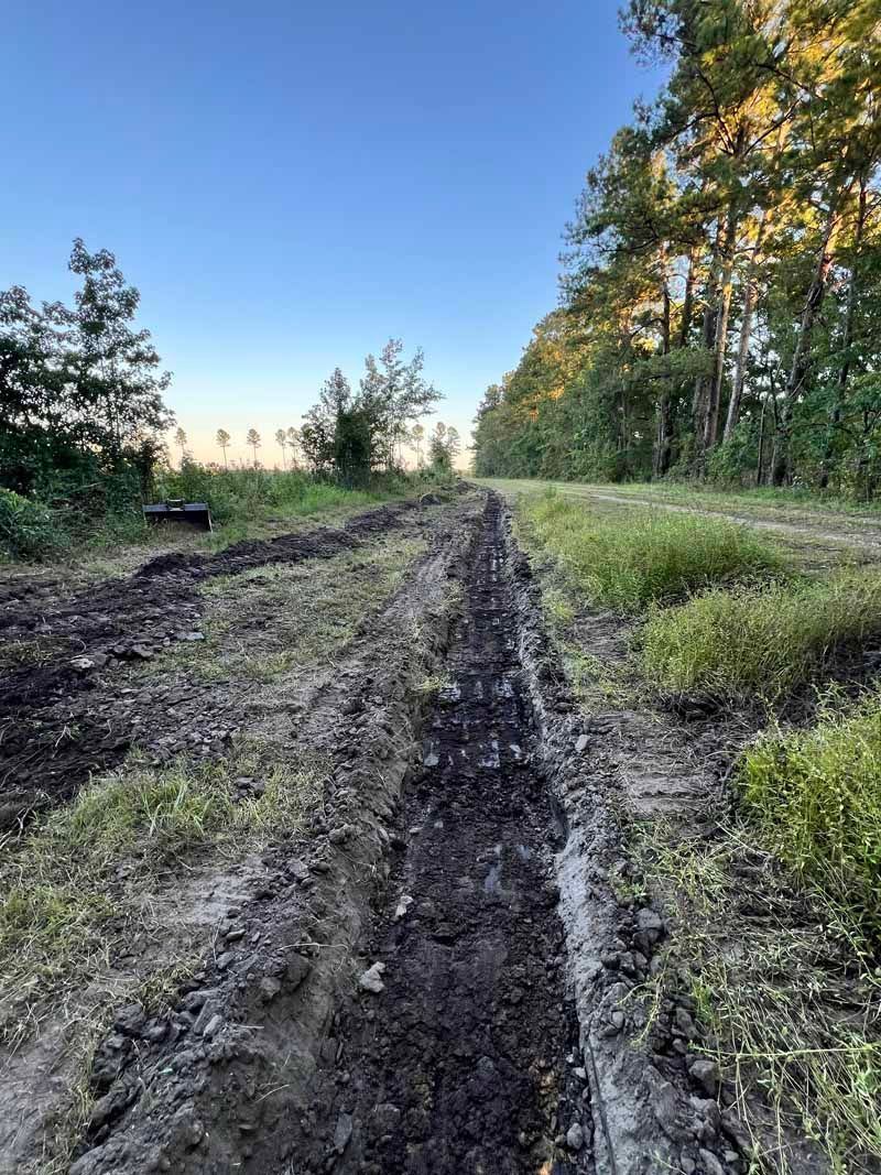 Muddy dirt road through a grassy forest clearing at dusk