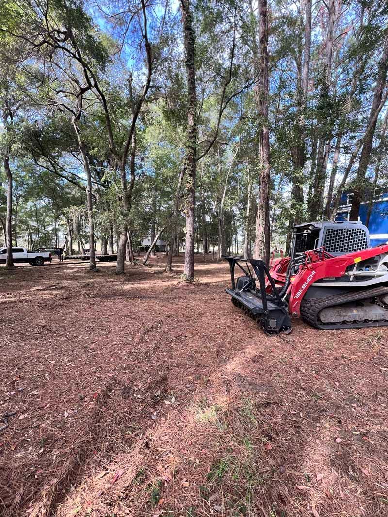 Red mini excavator in a wooded area with leaf-covered ground and parked vehicles in the background
