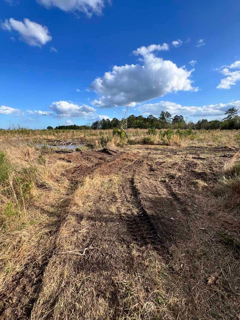 Dirt path through a grassy field under a bright blue sky with clouds