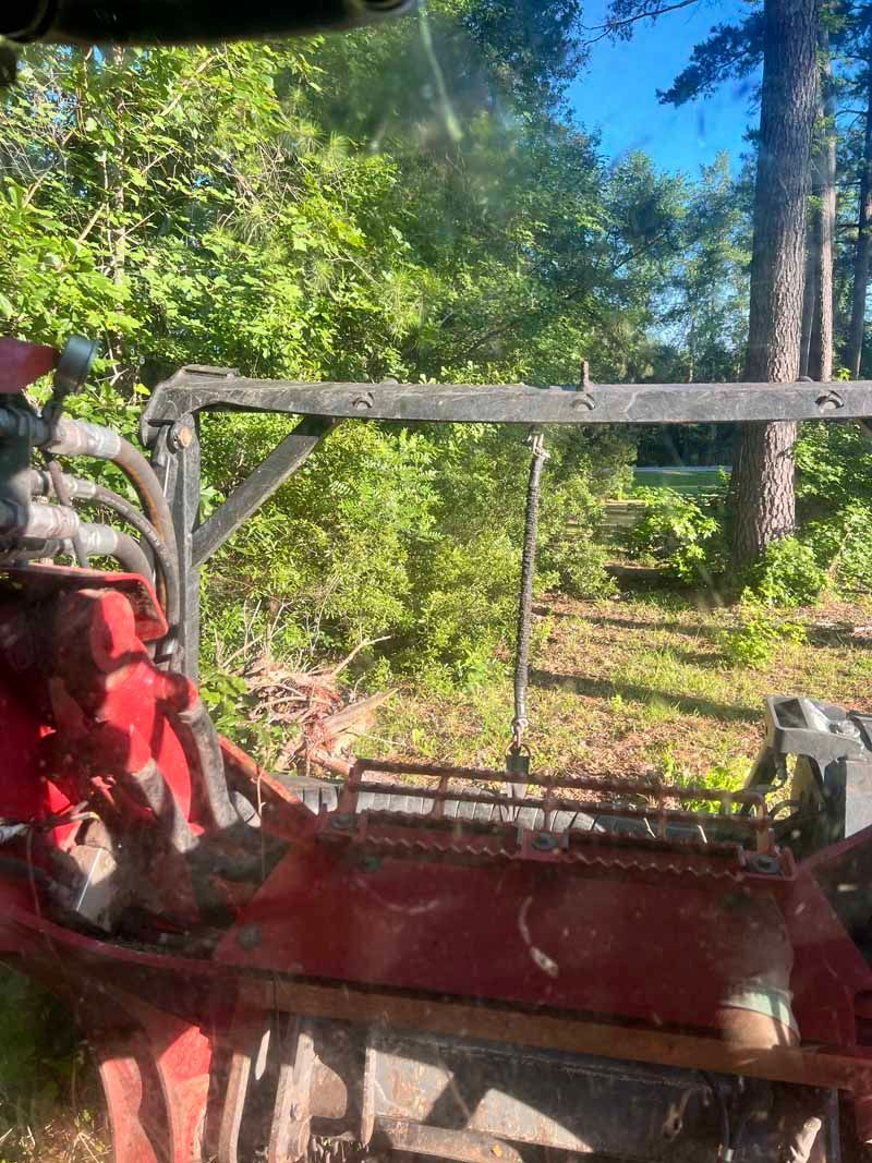 Red off-road vehicle on a dirt trail in a sunny green forest