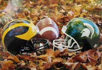 Two football helmets are sitting on top of a pile of leaves.