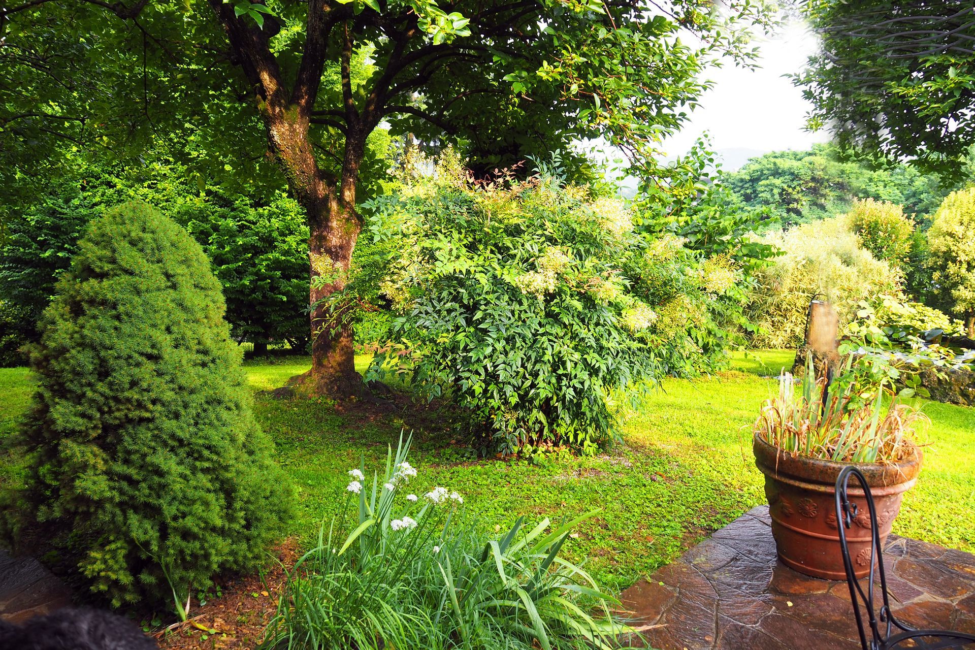 progettazione e realizzazione giardini