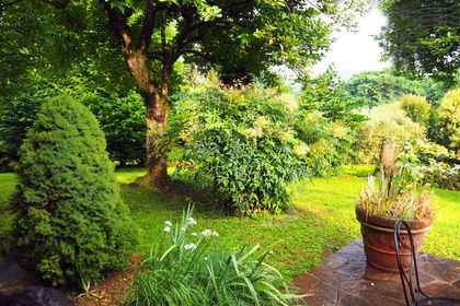 progettazione e realizzazione giardini