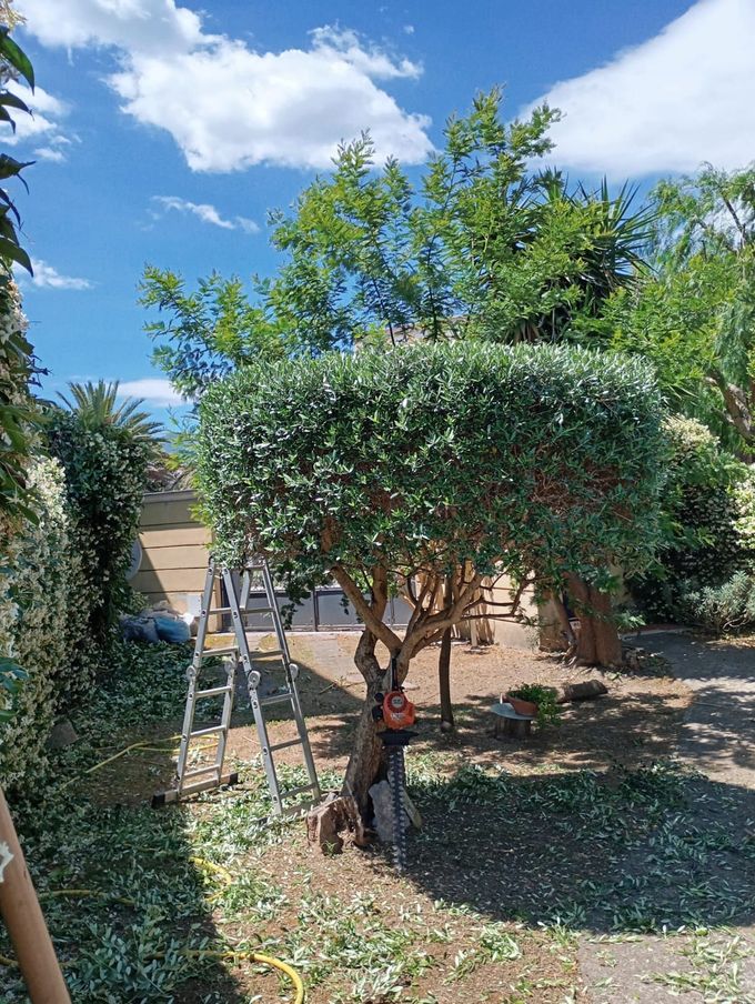 cura giardini
