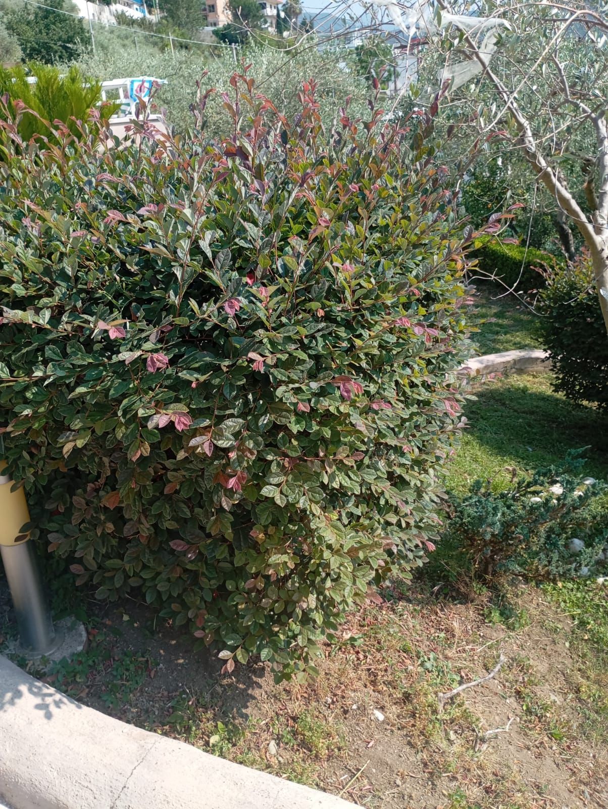 giardini personalizzati