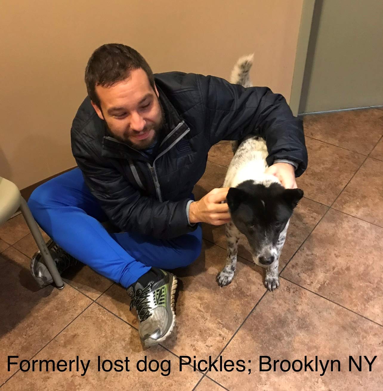 Formerly Lost Dog Pickles — Stephens City, VA — Professional Pet Trackers