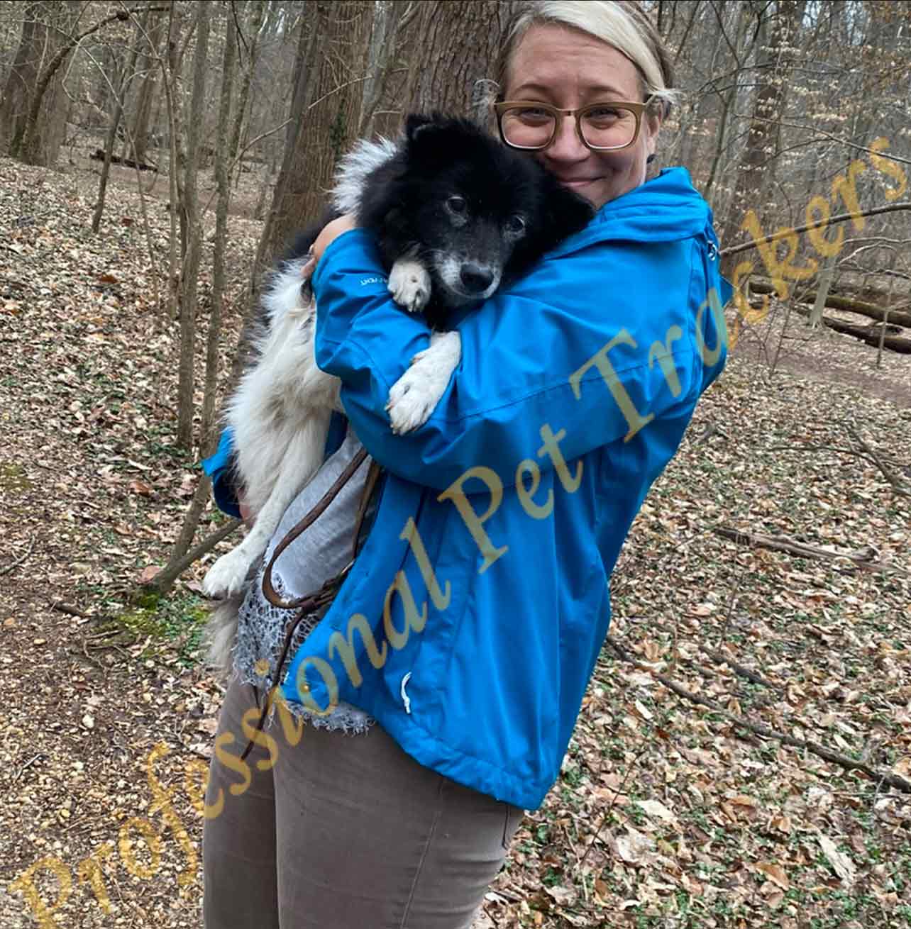 Formerly Lost Dog Khmow — Stephens City, VA — Professional Pet Trackers