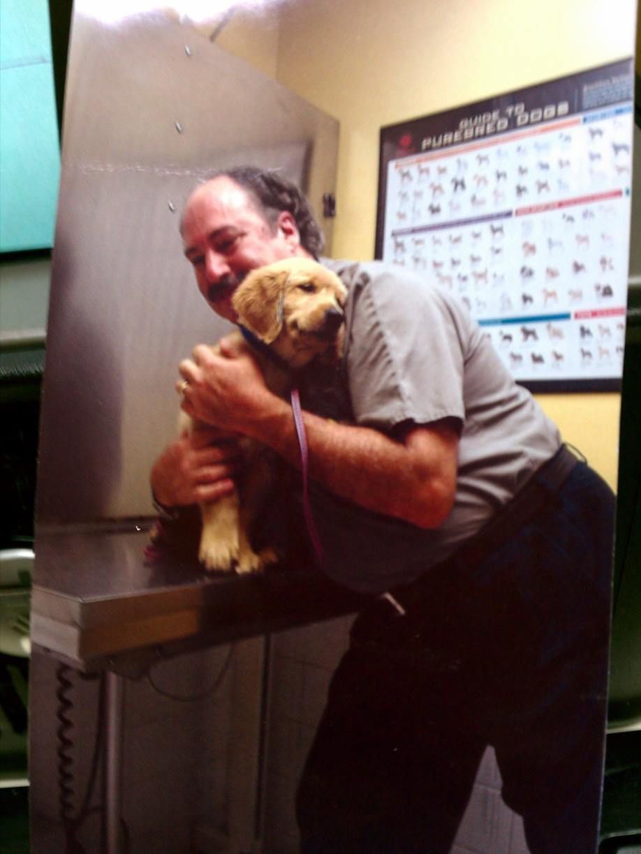 A man is holding a puppy in front of a periodic table.
