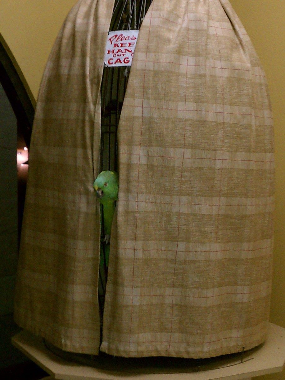 A bird in a cage with a sign that says 