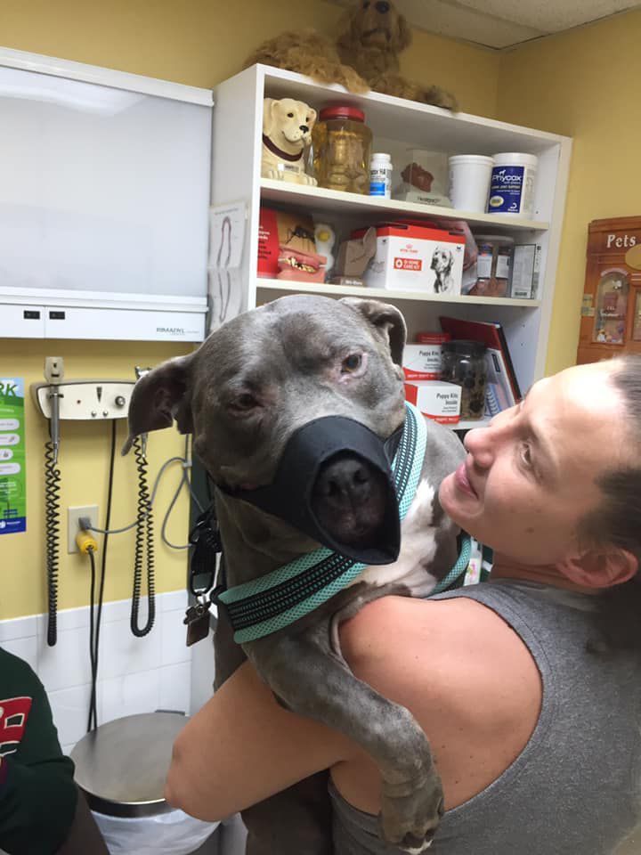 A woman is holding a dog with a muzzle on it.