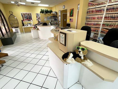 A stuffed dog wearing sunglasses is sitting on a counter in a veterinary 
office.
