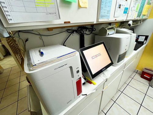 A computer monitor is sitting on a counter next to a printer.