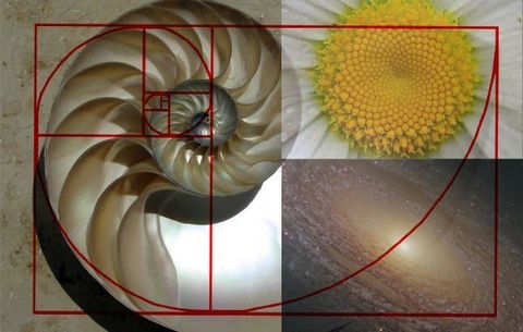The Golden Ratio