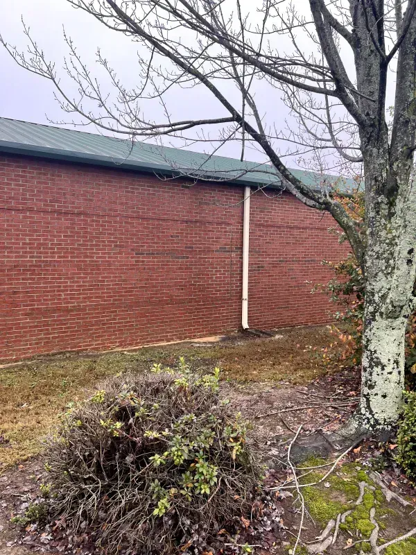 Brick building exterior with green roof, white downspout, tree, and small bush in a grassy area.