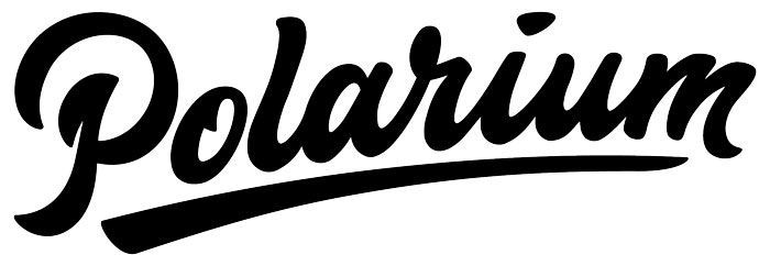 CE+T America logo with Sol Donum partnership