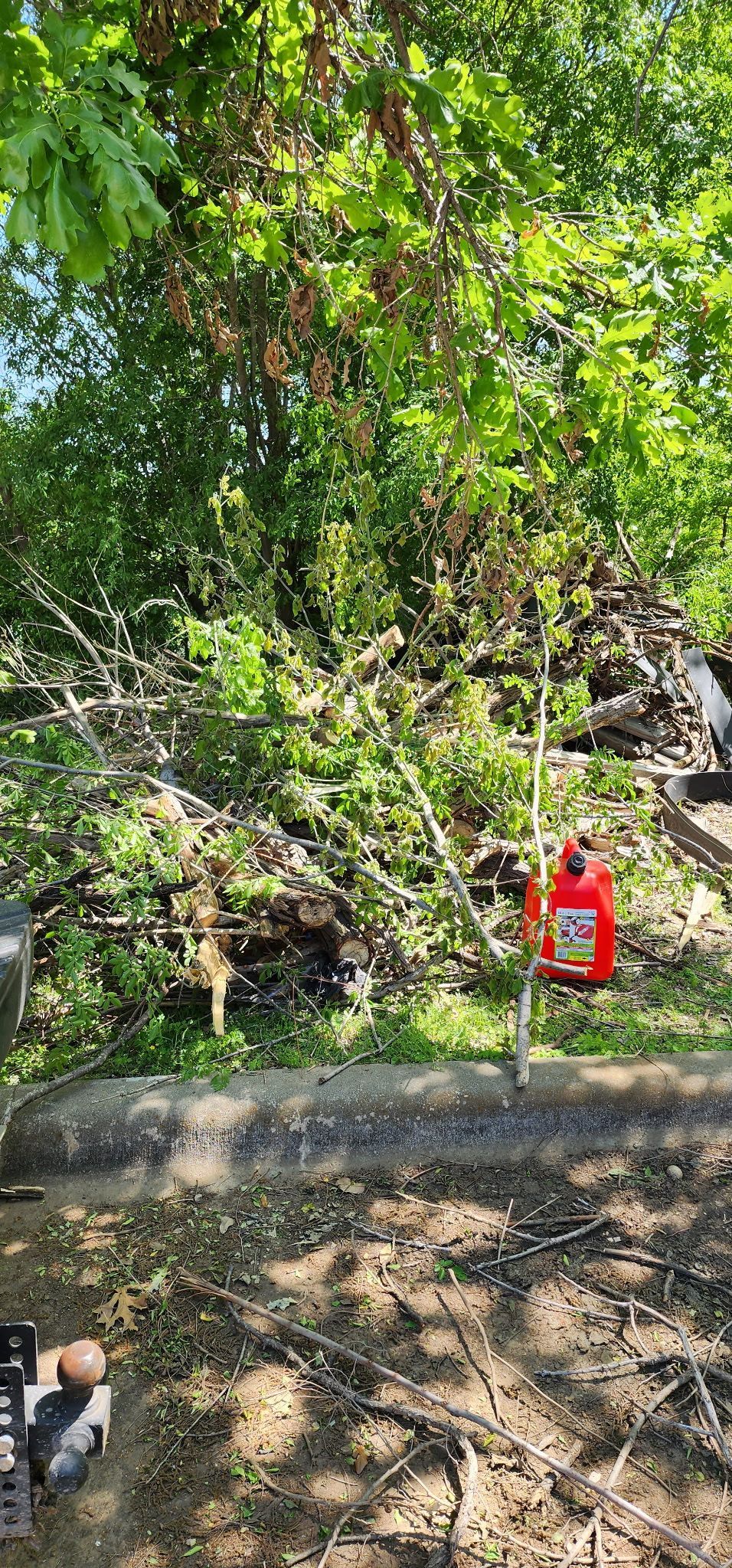 A person is cutting a tree with a lawn mower.