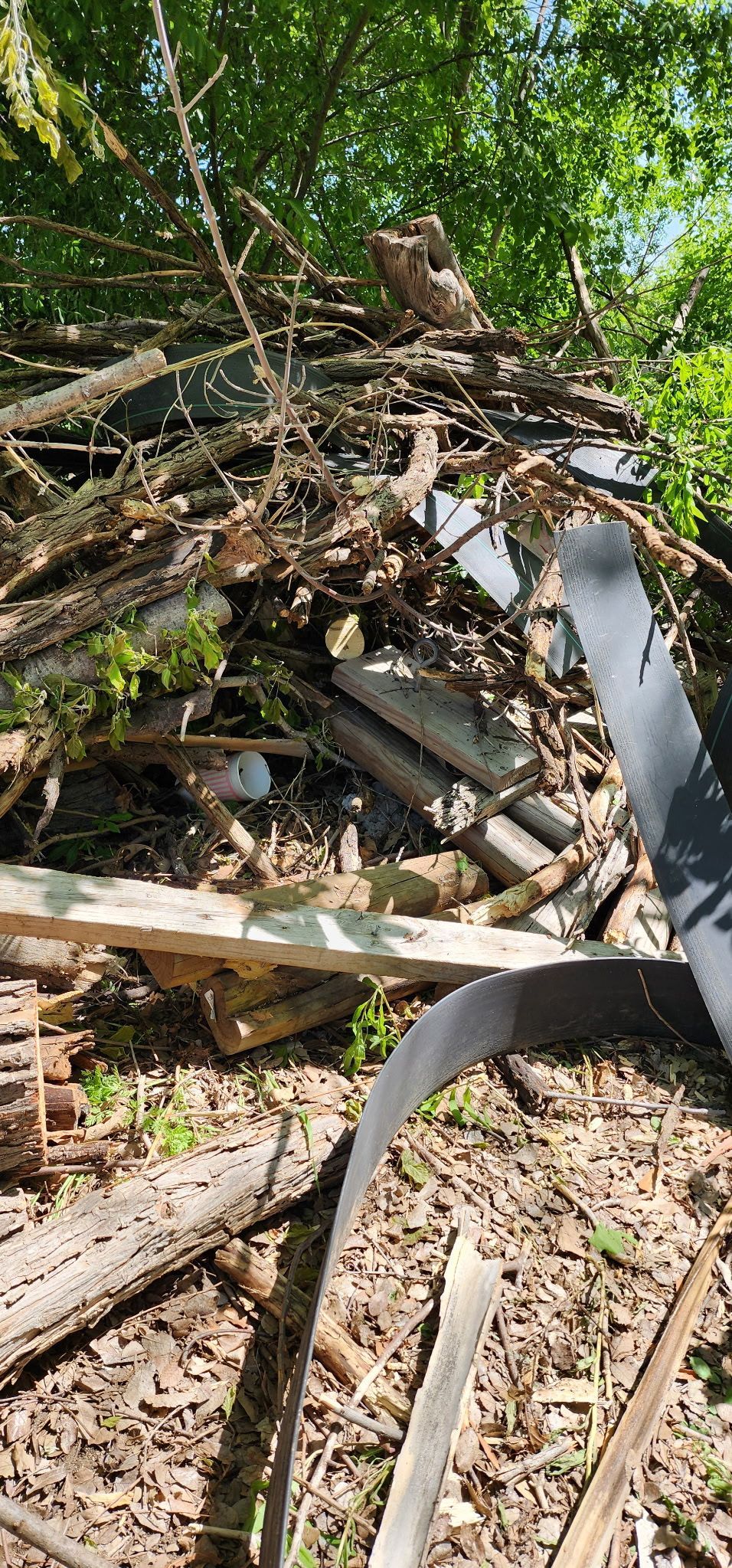 A pile of wood is sitting on the ground under a tree.