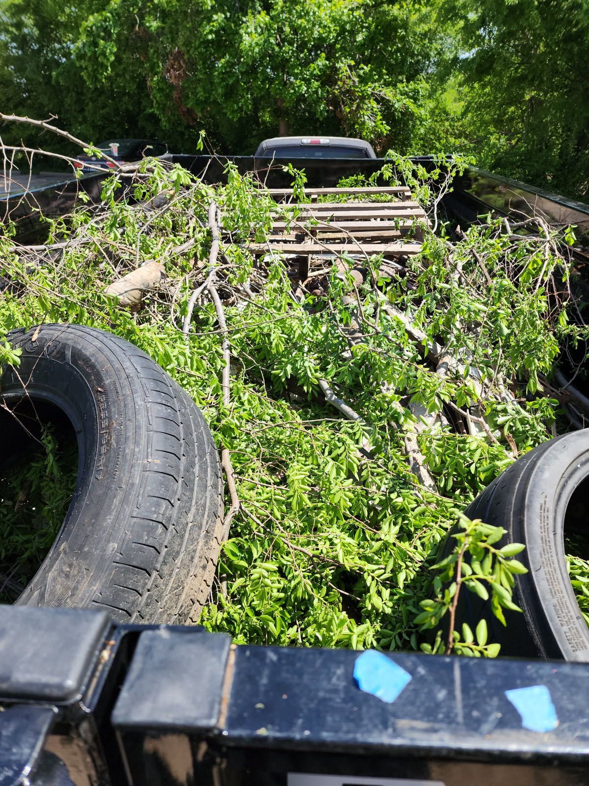 A pile of tires and branches on the back of a truck.