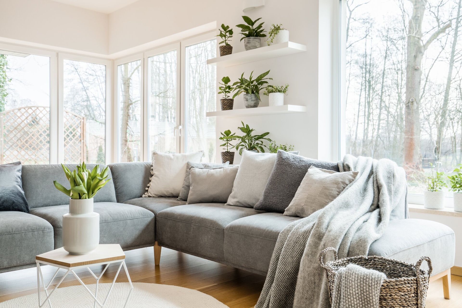 A living room with a couch , table , and shelves filled with potted plants.