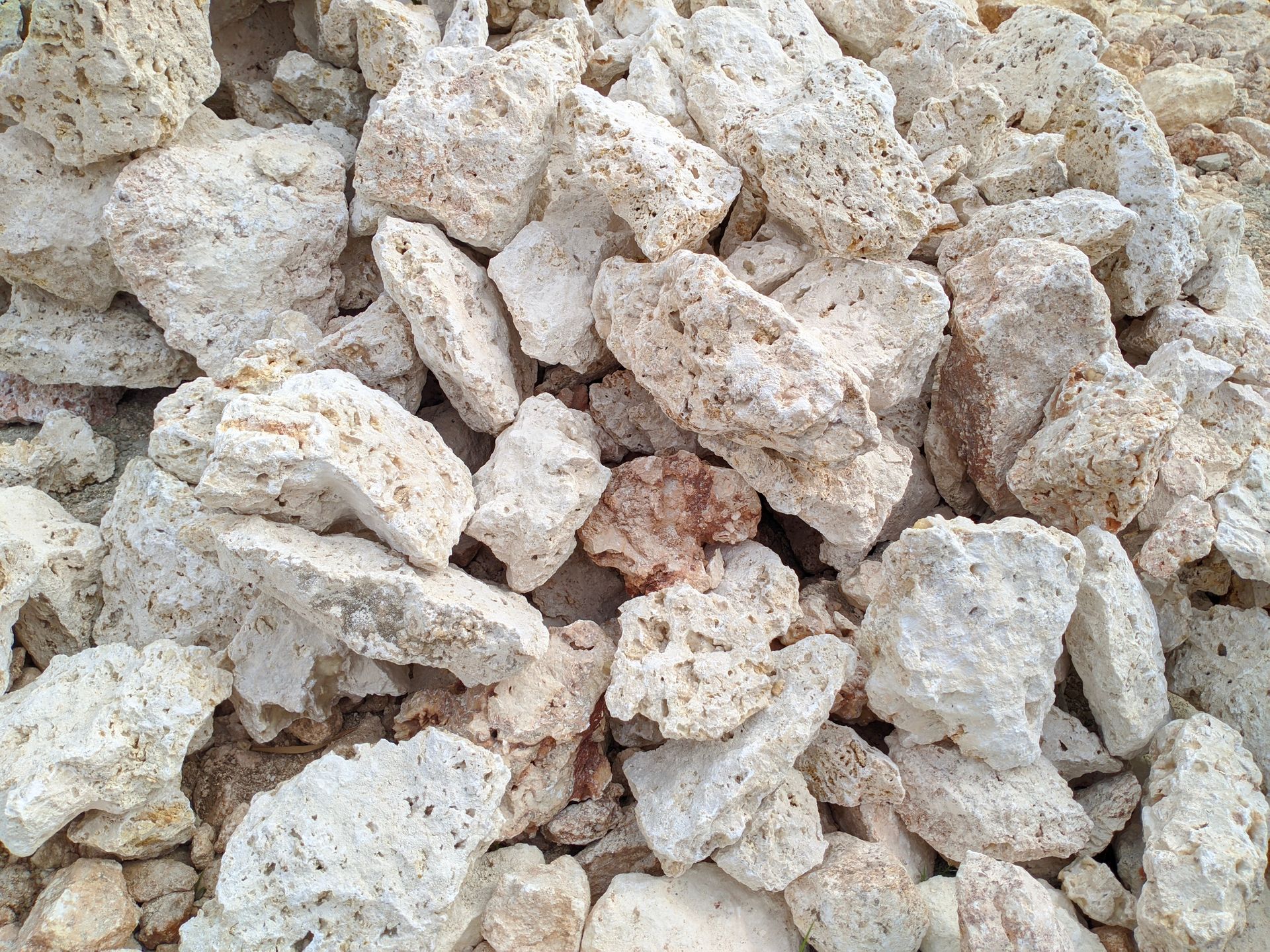 Pile of light-colored limestone rocks with rough, uneven surfaces.