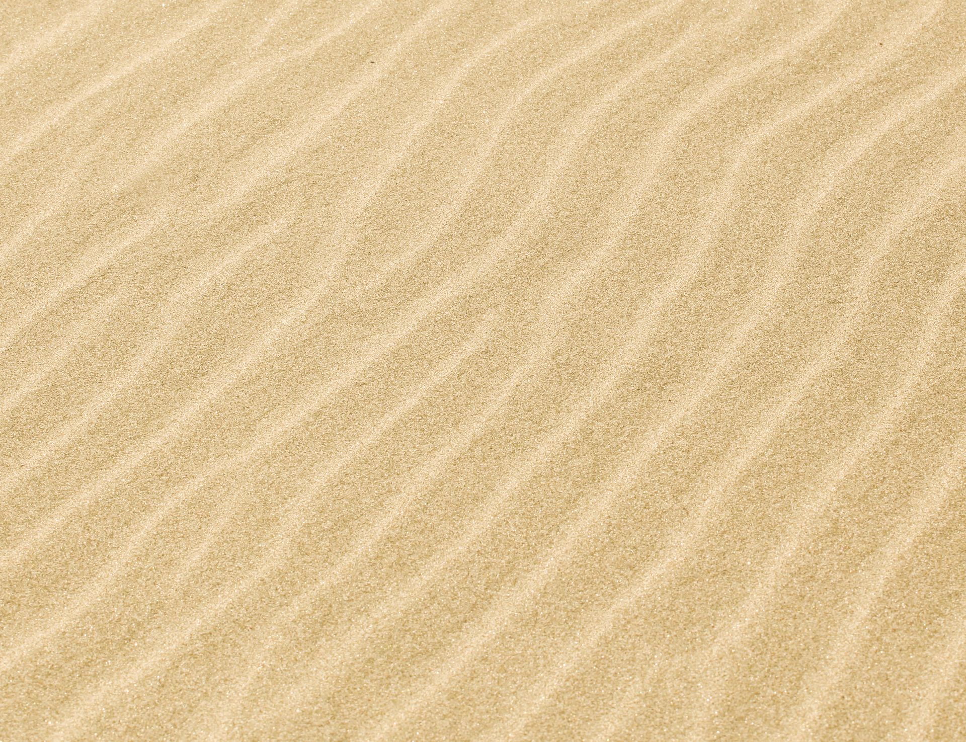 A close up of a pile of sand on a beach.