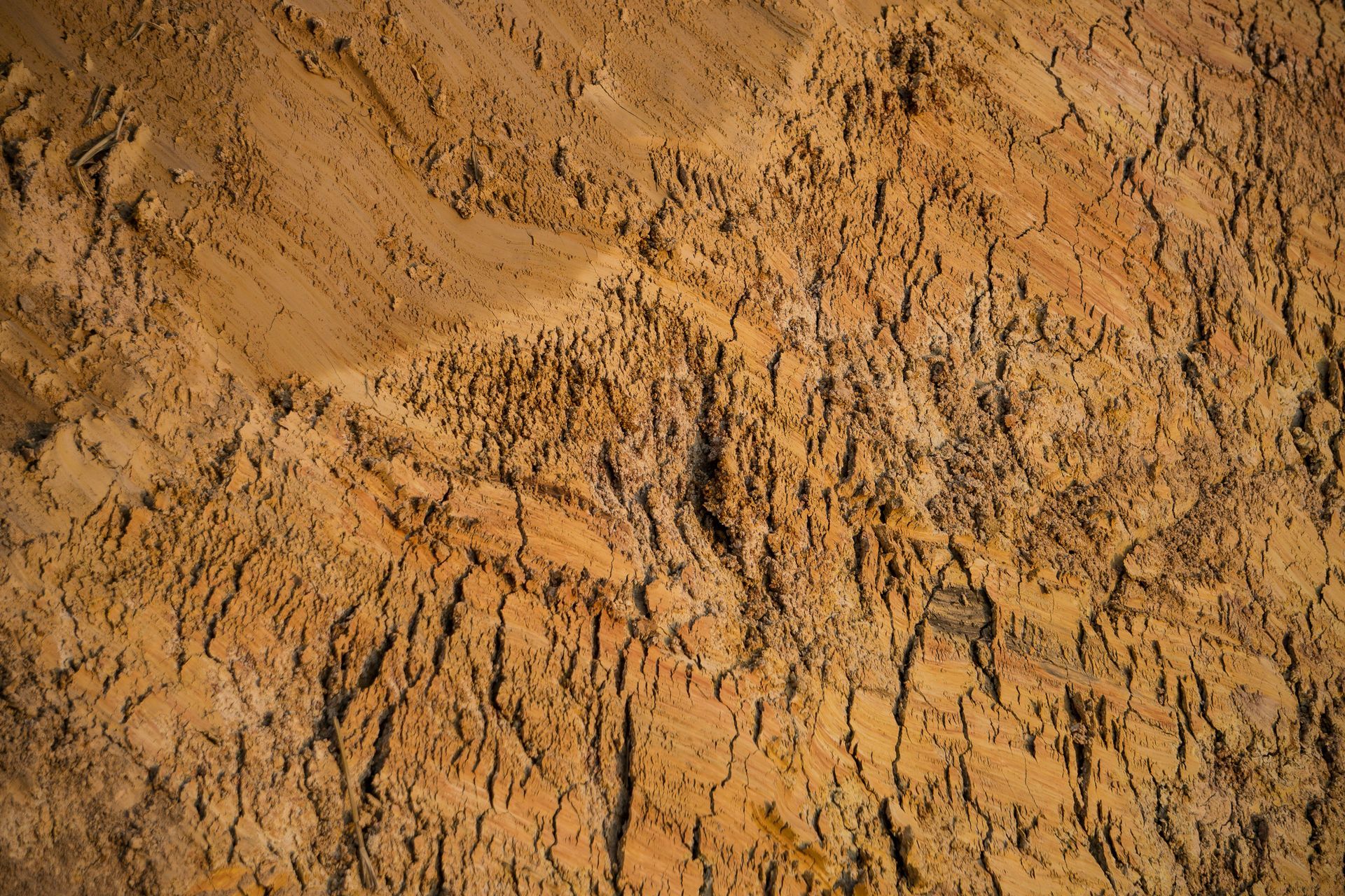 A close up of a pile of dirt in the desert.