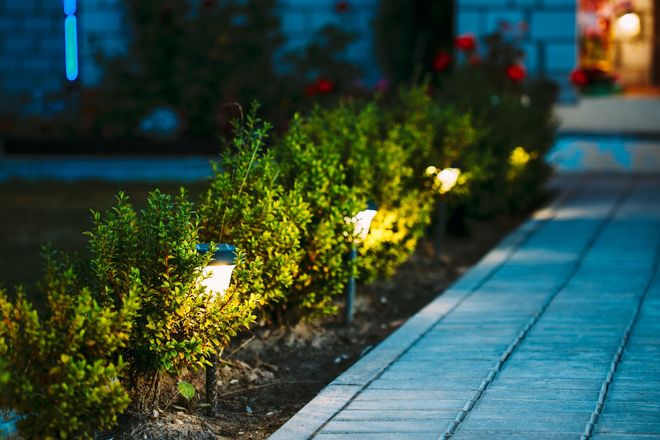Lit pathway beside green shrubs with small glowing garden lights at dusk