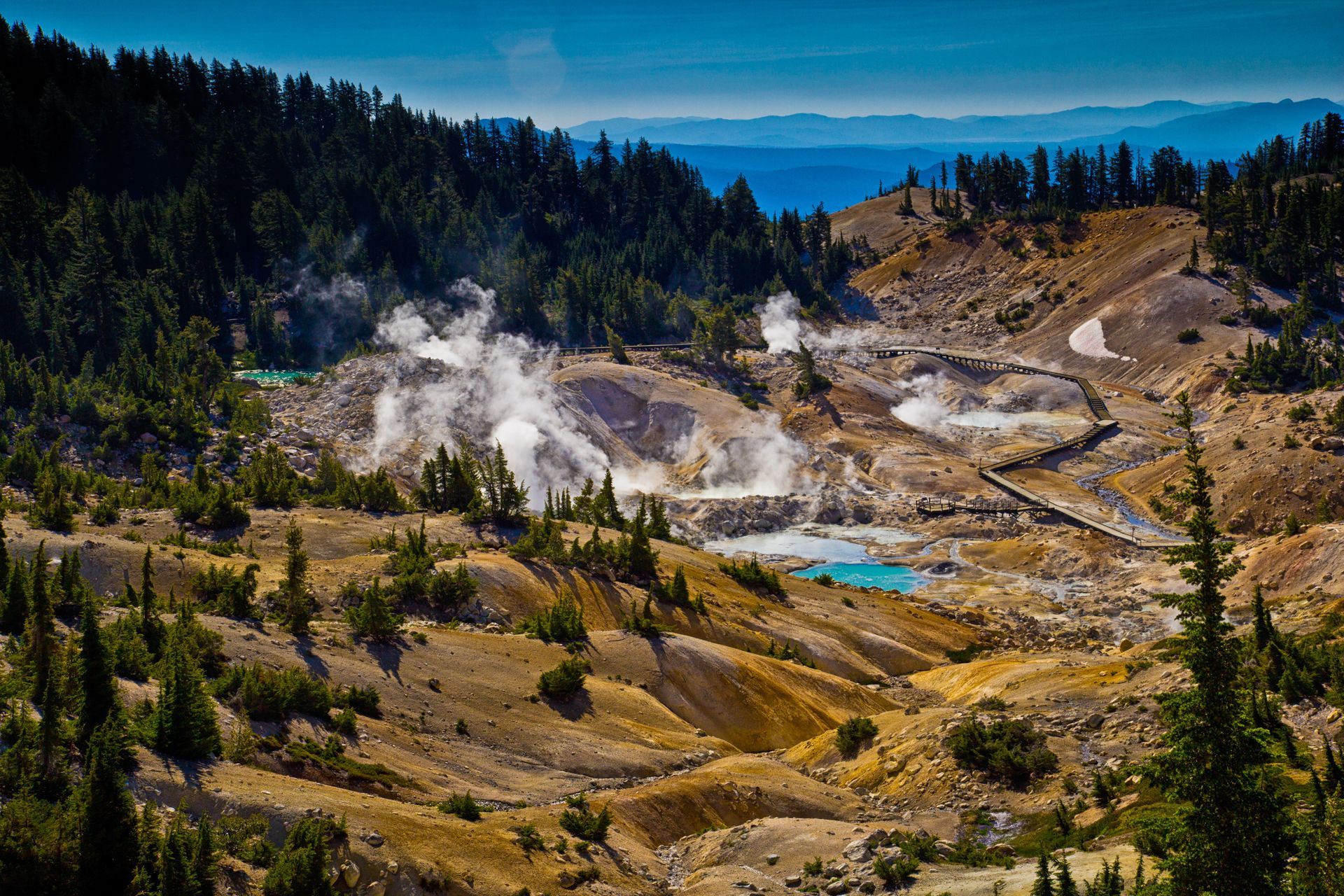 Steaming geothermal landscape with turquoise pools, brown hills, and evergreen trees under a blue sky.