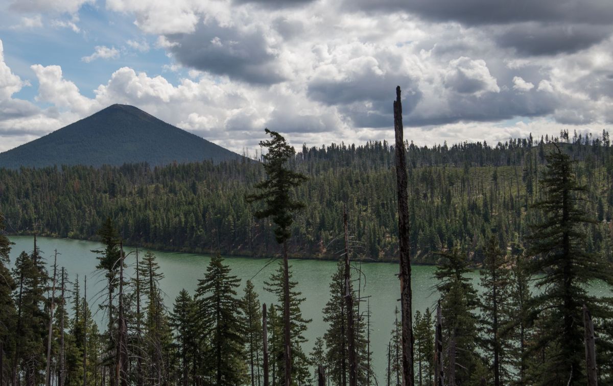 A lake surrounded by trees with a mountain in the background.