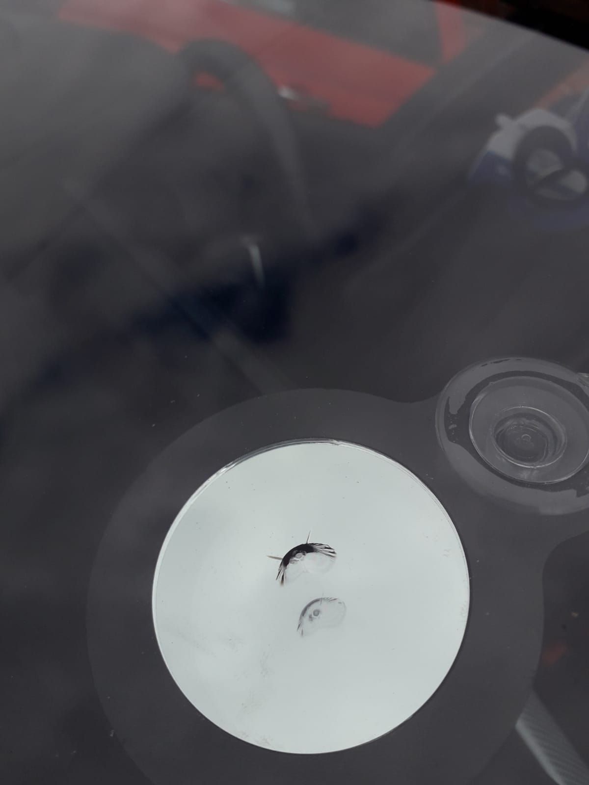 a ceiling with artex before plastering