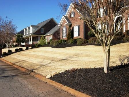 Home with Large Driveway & Professional Landscaping