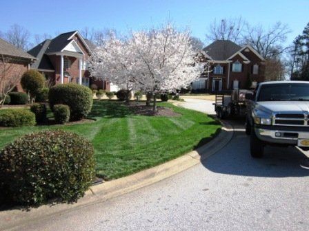 Curved Front Lawn with Lush Green Grass