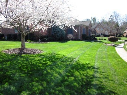 Sunshine Beaming Down on Fresh Cut Green Grass